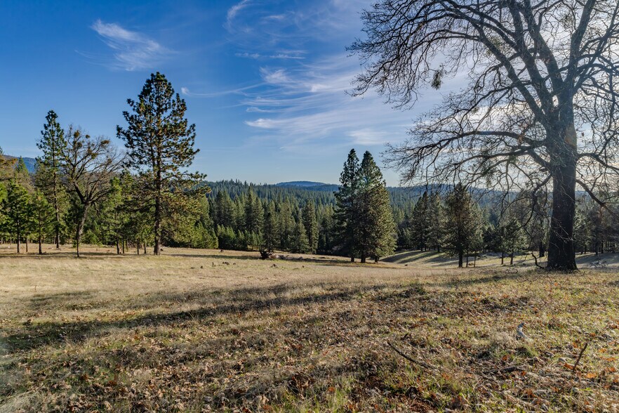 More Photos Of 4701 Schaad rd, Wilseyville Land For Sale