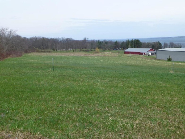 More Photos Of 6128 State Route 89, Romulus Winery Vineyard For Lease