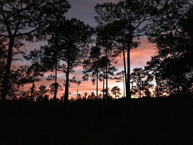 More Photos Of 0 Red Feather Dr, Seminole Land For Sale