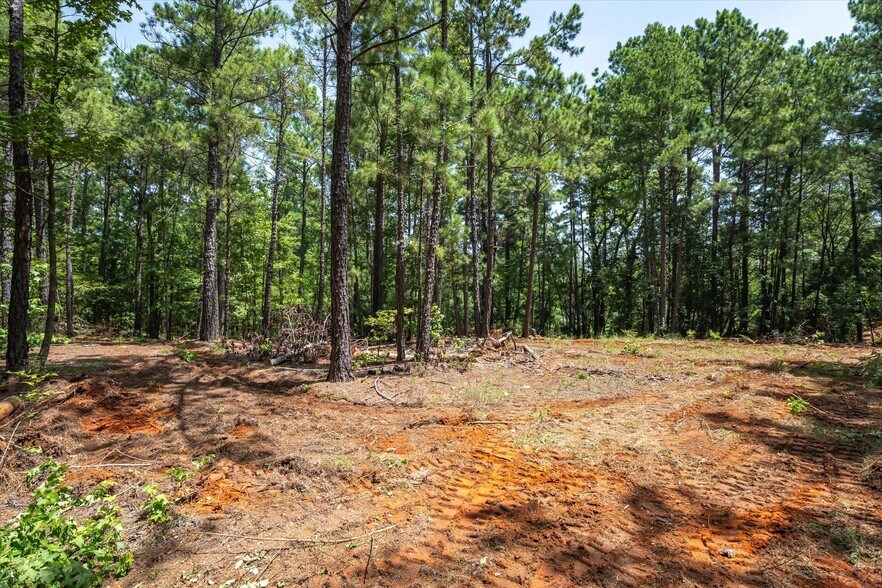 More Photos Of Tract 2 County Road 4102, Jacksonville Land For Sale