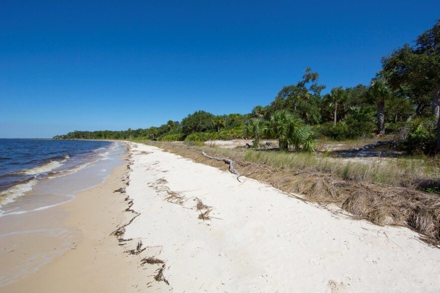 Deer Island, Cedar Key, FL 32625 Land For Sale