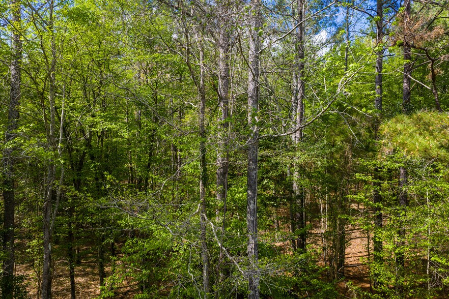 More Photos Of US 63, Junction City Land For Sale