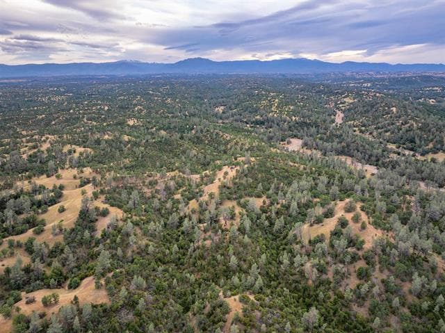 More Photos Of 14015 Hwy 36 W, Cottonwood Land For Sale