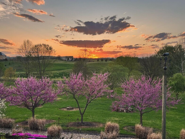 More Photos Of 2110 Quicksburg Rd, Quicksburg Land For Sale