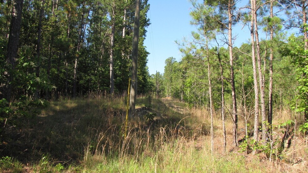 More Photos Of Aiken Rd @ Hennings Dr, Vass Land For Sale
