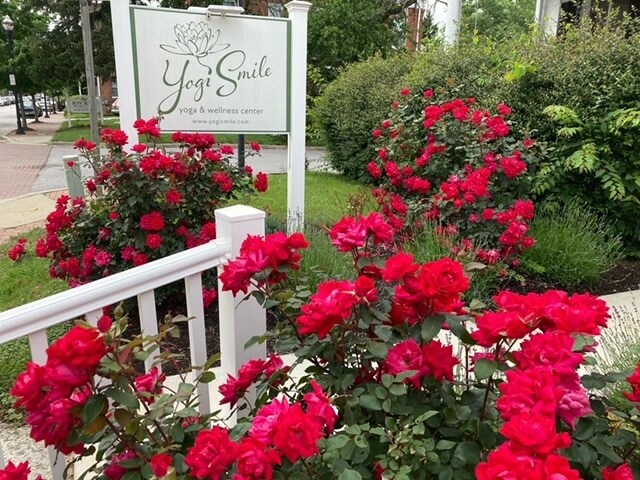 More Photos Of 417 Main St, Laurel Office For Lease