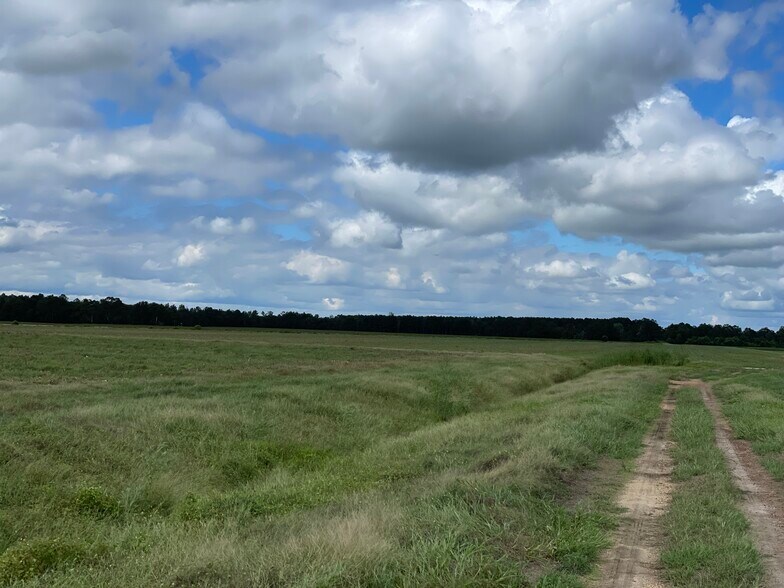 More Photos Of 5700 Pine Forest Rd, Walnut Hill Land For Sale