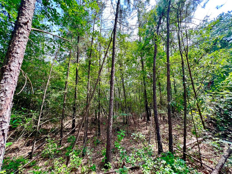 More Photos Of 2700 Ford Chapel, Lufkin Land For Sale