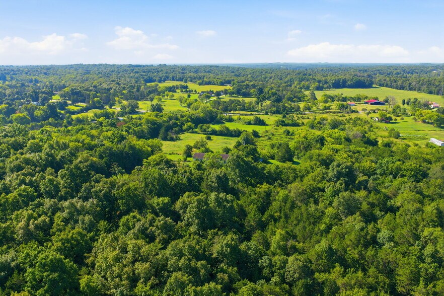 More Photos Of 4681 Joe Peay Rd, Spring Hill Land For Sale