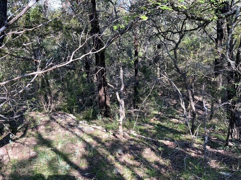 More Photos Of TBD County Road 396, Carlton Land For Sale