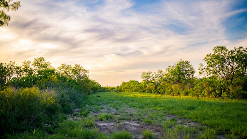 More Photos Of FM 791, Campbellton Land For Sale