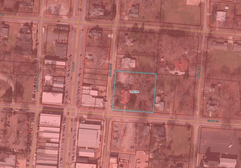 More Photos Of 252 Seavy St, Senoia Hospitality For Sale