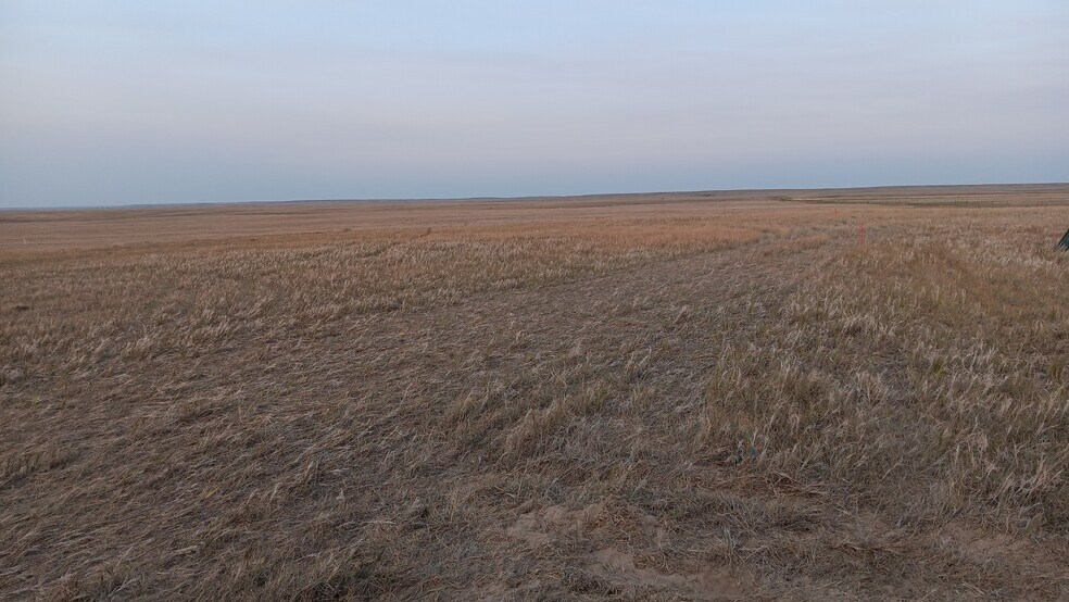 More Photos Of 123 Co 164 Rd, Pine Bluffs Land For Lease