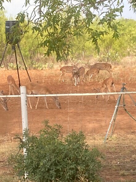 More Photos Of 629 Elliott Rd, London Land For Sale