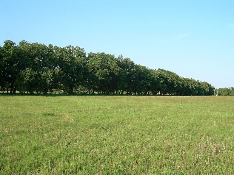 More Photos Of 13971 George Younce Rd, Foley Land For Sale