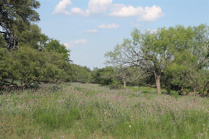 More Photos Of 8200 County Road 200, Burnet Land For Sale