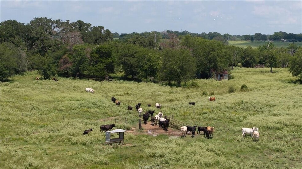 More Photos Of TBD FM 974, Bryan Land For Sale