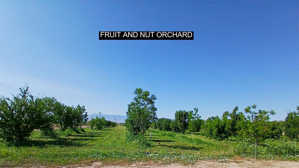 More Photos Of 13915 US 70, Fort Thomas Land For Sale