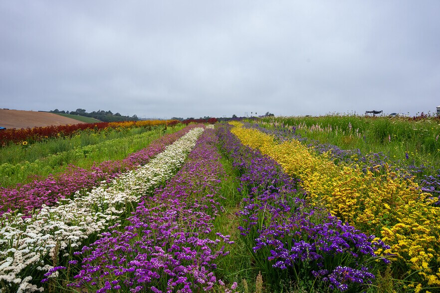More Photos Of Blackie Rd, Prunedale Land For Sale