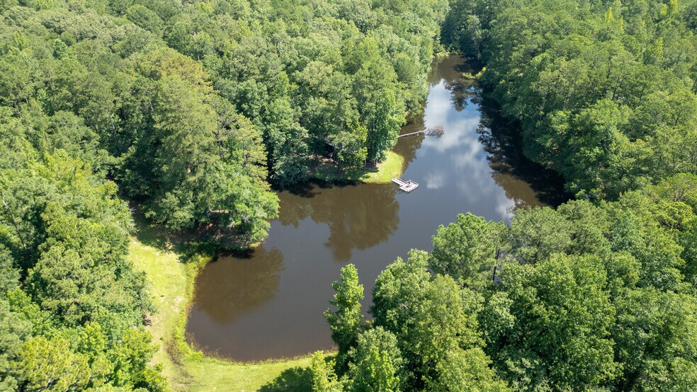 More Photos Of 17796 Dry Branch loop, Northport Land For Sale