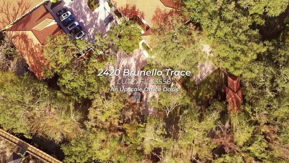 Primary Photo Of 2420 Brunello Trace, Lutz Office For Sale