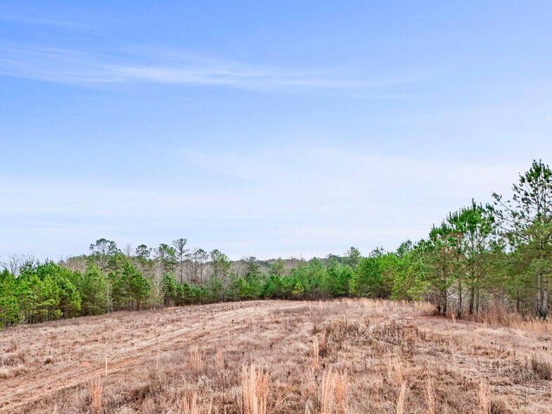 More Photos Of 16.31+/- AC Franklin Parkway Franklin GA 30217, Franklin Land For Sale