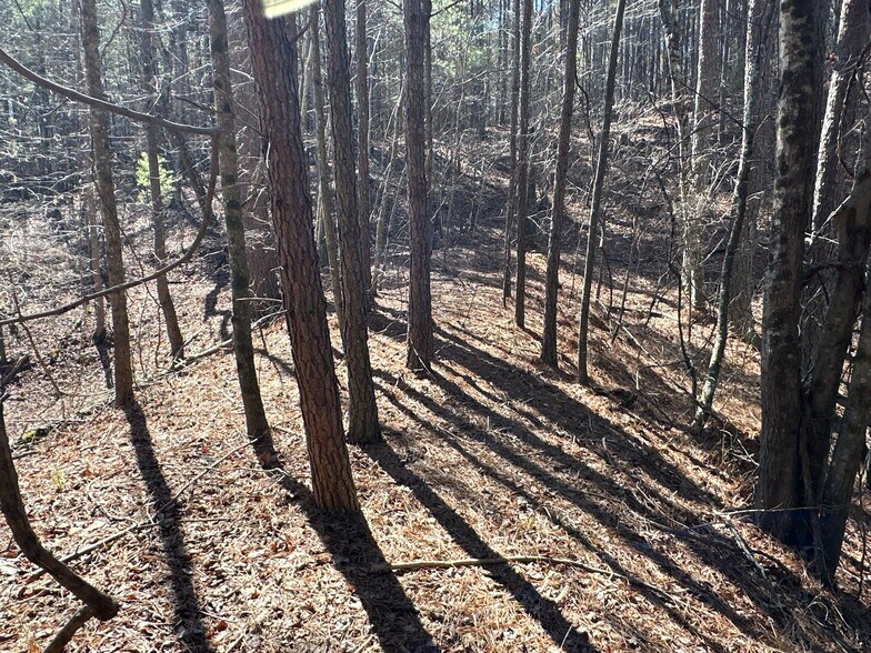More Photos Of 3472 Prior Station Rd, Cedartown Land For Sale