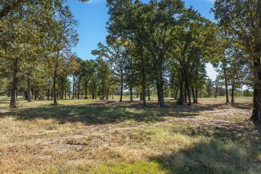 More Photos Of 806 County Road 2918, Alba Land For Sale