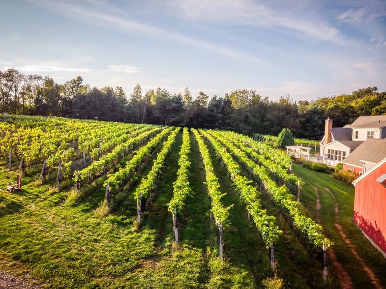 More Photos Of 848 CT-171, Woodstock Winery Vineyard For Sale