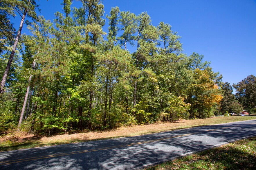 More Photos Of Walter Bright Road & 15-501, Sanford Land For Sale