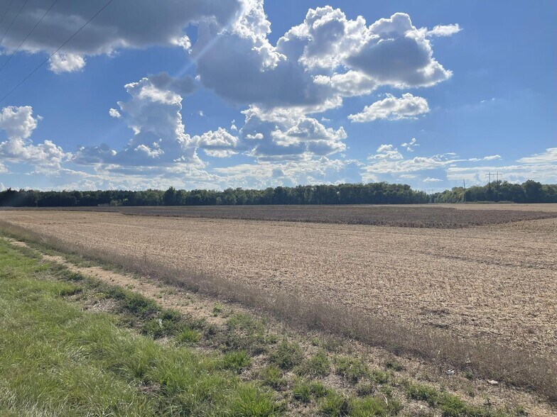 More Photos Of County 21 & Bell Grayson Road hwy, Demopolis Land For Sale