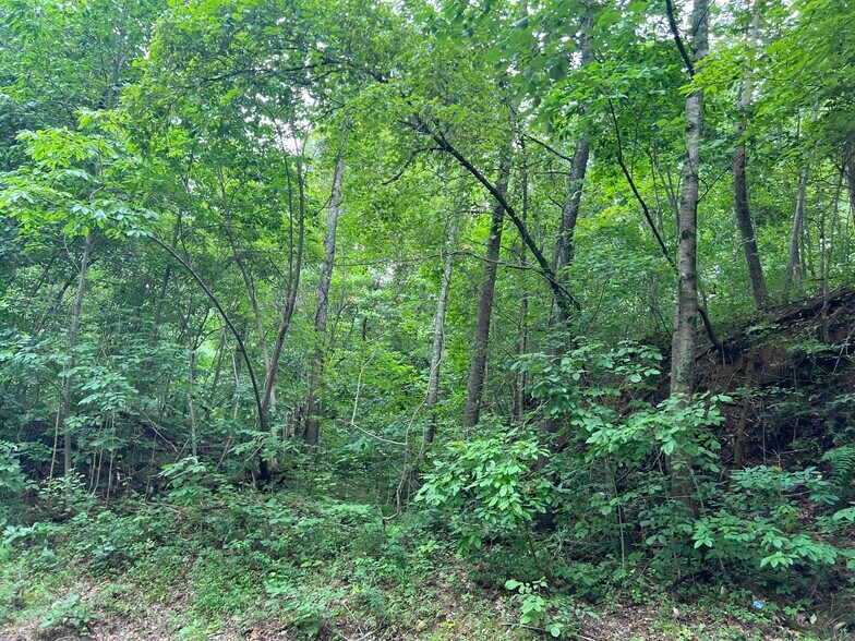 More Photos Of Pinyan, Ranger Land For Sale