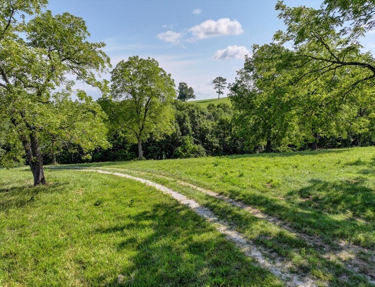 More Photos Of Hwy 65 and Old Hwy US 65, Omaha Land For Sale