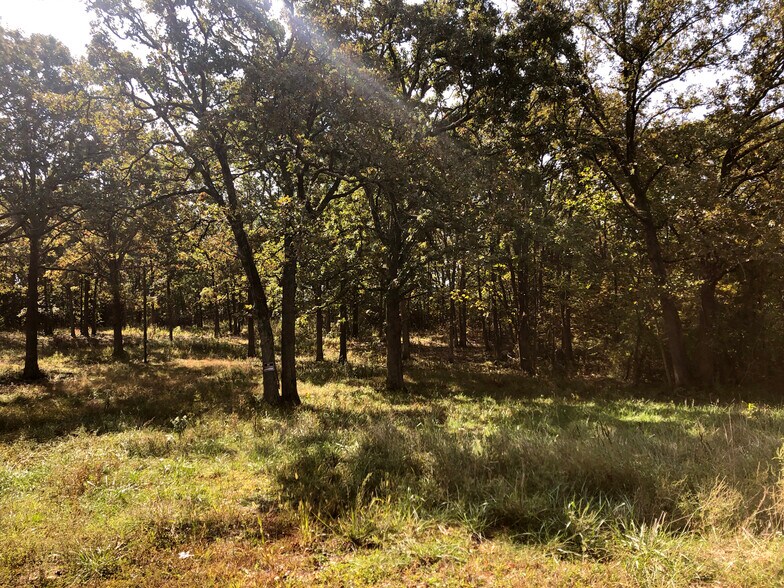 More Photos Of 10240 County Road 3060, Rolla Land For Sale