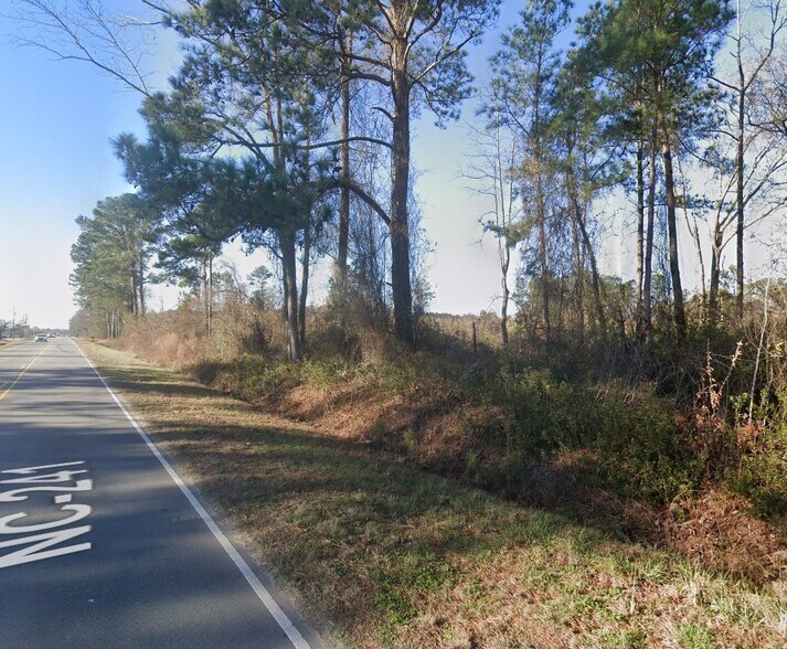 More Photos Of 187 N NC 241 Hwy, Beulaville Land For Sale