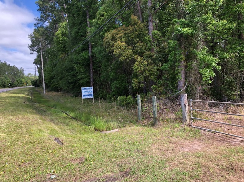 Primary Photo Of 0 Lem Turner Rd, Jacksonville Land For Sale