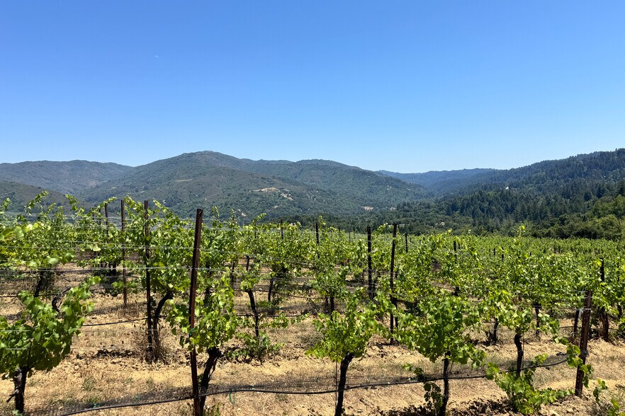 More Photos Of 18570 Black Rd, Los Gatos Land For Sale