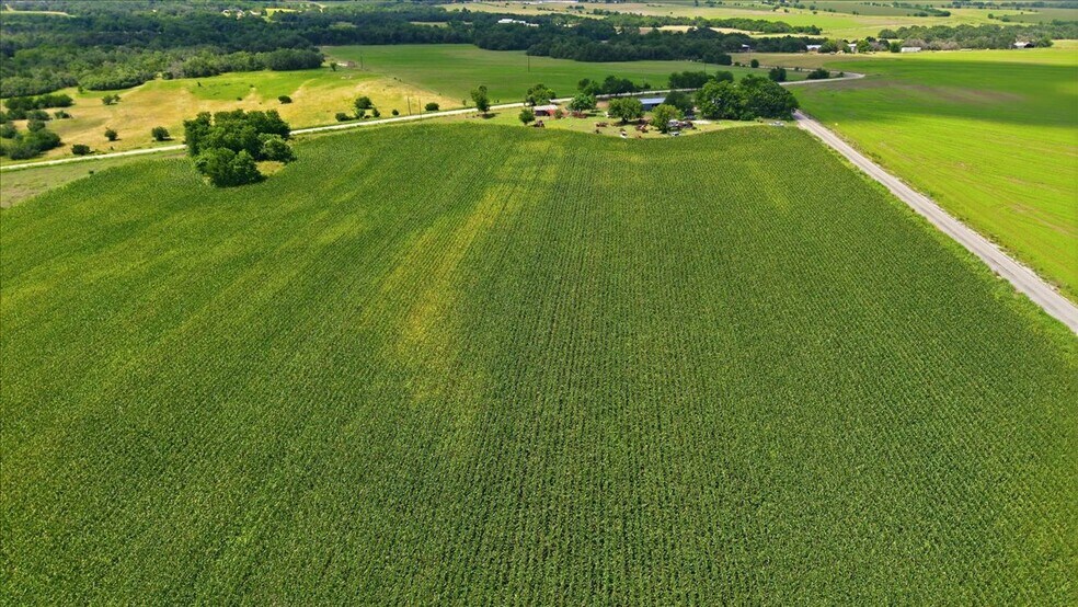 More Photos Of County Road 319, Granger Land For Sale