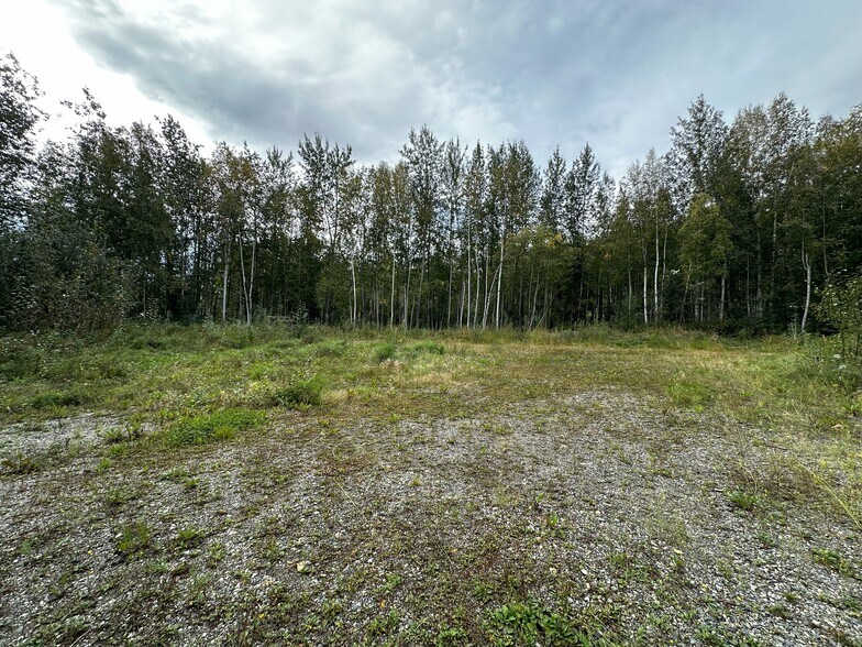 Primary Photo Of 3151 Badger rd, North Pole Land For Sale