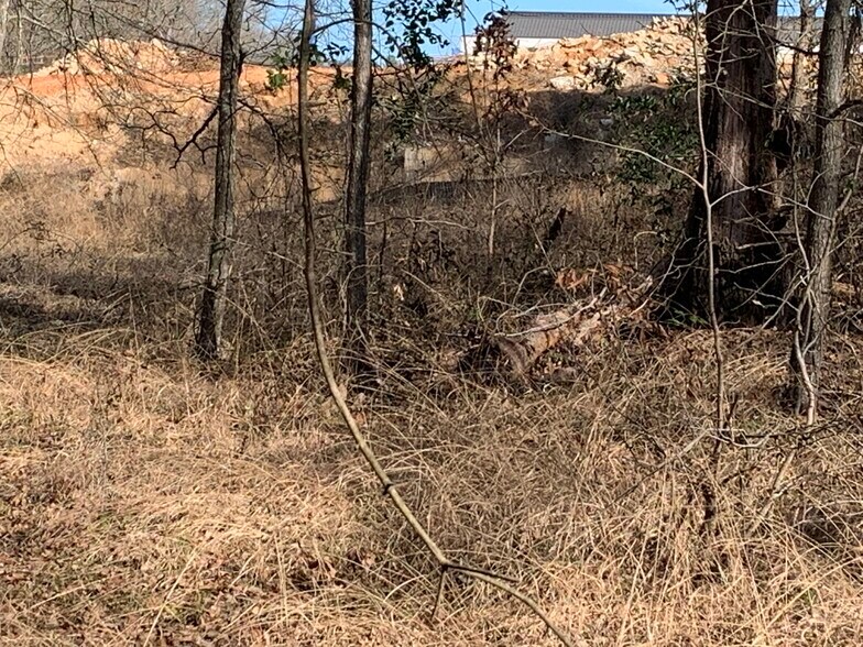 More Photos Of Interstate 20, Lindale Land For Sale