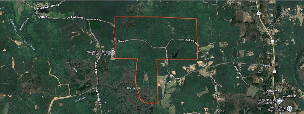 More Photos Of 17796 Dry Branch loop, Northport Land For Sale