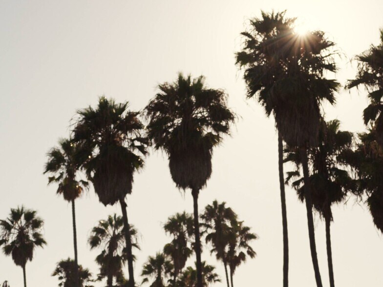 Primary Photo Of 62-66 Windward Ave, Venice Storefront Retail Office For Lease