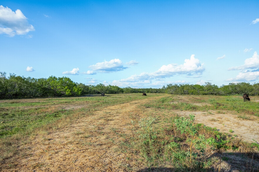 More Photos Of 399 Seals Creek Rd, Lockhart Land For Sale