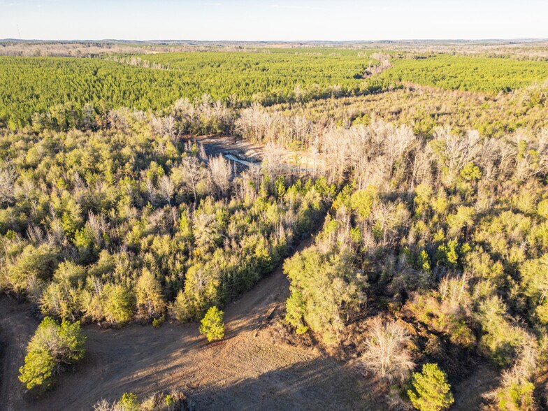 More Photos Of 9036 Bullard Rd, Dry Branch Lodge Meeting Hall For Sale