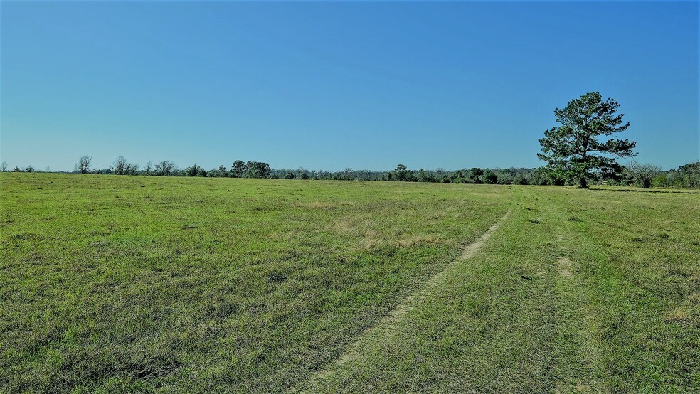 More Photos Of 26266 Fields Store Rd., Waller Land For Sale