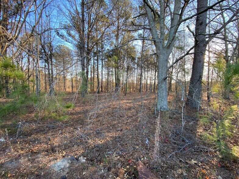 More Photos Of 760 Highway 11, Monroe Land For Sale
