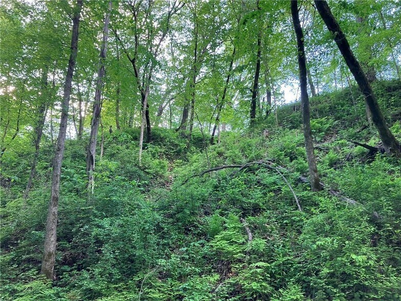 More Photos Of N3953 Bear Pen Rd, Arkansaw Land For Sale