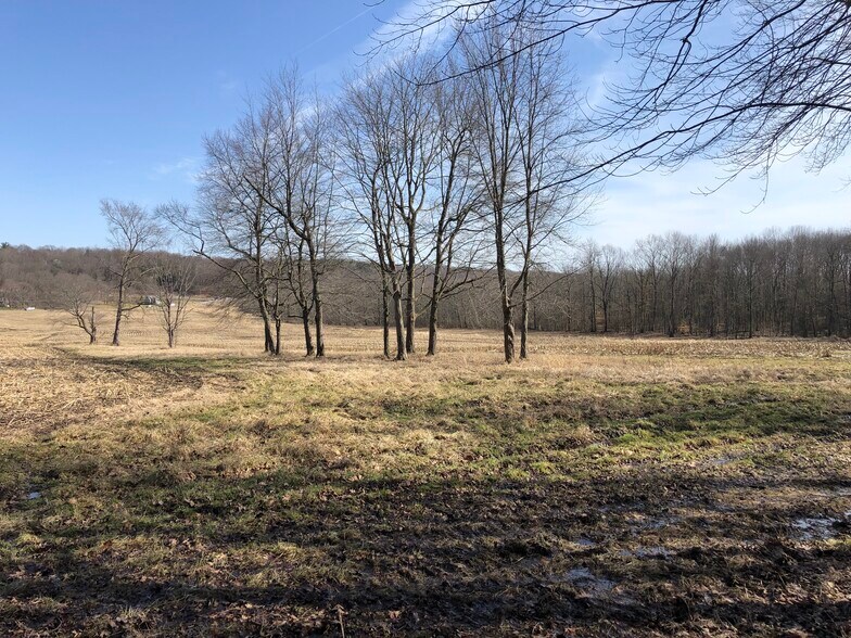 More Photos Of 1620 Maple Dr, Hermitage Land For Sale