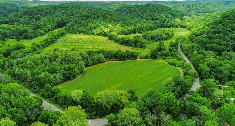 More Photos Of 1 Hester Beasley Lots 1&2 Rd, Nashville Land For Sale