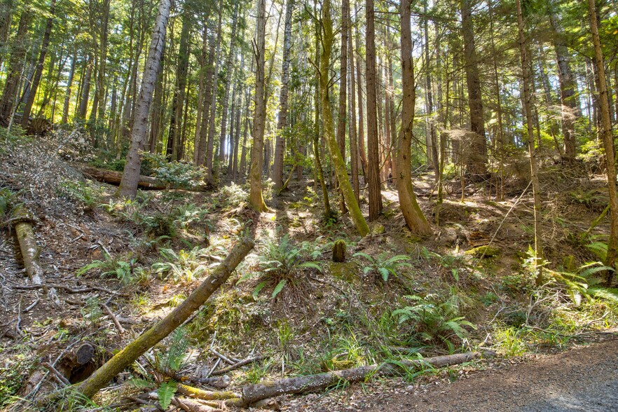 More Photos Of 33170 Frog Pond rd, Little River Land For Sale